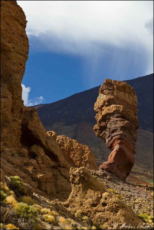 teneriffa 2011 - img_9421.jpg